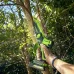 Пила GREENWORKS GD24CSMNX 2008707UB