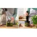 Блендер BOSCH MSM4B620