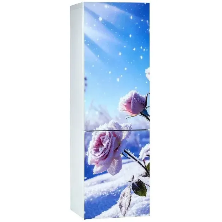 Холодильник ОРСК 175 B Glass ROSE