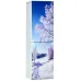 Холодильник ОРСК 177 B Glass ZIMA